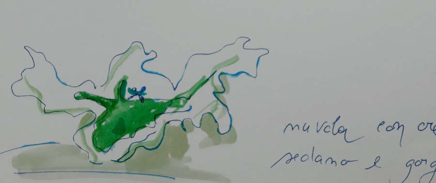 "nuvola con creama di sedano - poeticadelleregole"